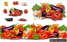 ߲ͨʸͼAI,Ӵͷ,ܲ,ˮ ߲˹Ϲʸͼ