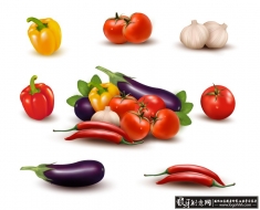 ʸ���߲�ˮ�� �����߲��ز�,���� ������,����,����,����,ʸ��ũ��Ʒ�ز� �߲˹Ϲ��ز�