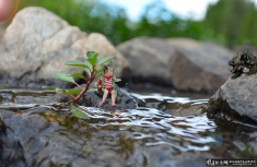 ��������������������Ӫ��!