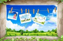 ���������������߿�PSD,ľ�����,�߿�,��Ƭ,��Ҷ����,�����ʺ�,������ȻͼƬ�ز�...