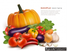 ���������߲˱���ʸ���ز�,����,������,�Ϲ�,����,����,�߲�,���ܲ�,���,����Ҷ�ز�