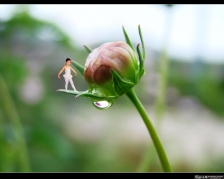�λ�С�˹�