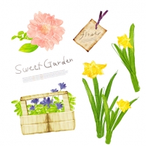 ������Ҷ�ƻ����Ƶ���PSD�ֲ��ز��������,PSD�ֲ��ز�,�����ز�,TUA,Ψ��,����,��...