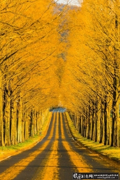 ɫӰ ɫϣ ϣĵ·Ӱ ɫӰ ɫҶӰƷ