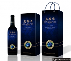 ���������װ�������ģ��,��ݮ���װ���Ԫ��,��ư�װ��� �ߵ������װ���Ч��ͼ