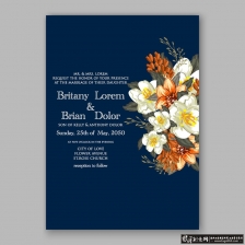 ���⺣������AI ʱ�л��ܻ��ƻ��� ��Լʱ���ֻ������ ���뺯 ���պؿ�����߶˱���