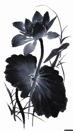 ����ˮī�ɻ������ز�����,�ɻ�,����,��Ҷ,����,����,����,ˮī,�й��绨���ز�������