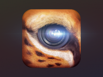 �����ƴ���ͼ���������