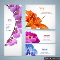 ʱ��չ�屳��ʸ��ͼ �ʻ�չ��ģ�� ����չ�ܱ��� Xչ���ز� ʱ��������չ�� banner���