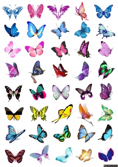 ʸ�����������ز����� ʸ������ �������� ��ʰ�쵵ĺ����ز� ����ͷ׺����ز�������