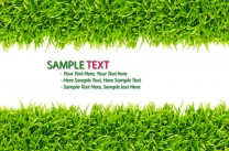 ��ɫ�ݵر���02����ɫ,�ݵ�,С��,����,ͼ��,����,����ͼƬ,JPG��ʽ��300DPI