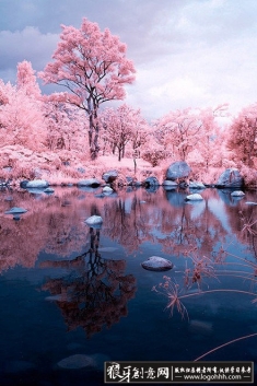 ���ǧ��ҫ���� �λ÷羰��Ӱ�������� ������Ӱ��Ʒ������� ����Ψ����Ӱ���������